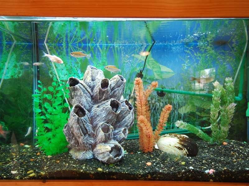 15 Peninsula Court, Mermaid Waters QLD 4218