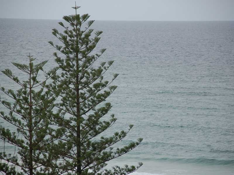 16/106-108 The Esplanade, Burleigh Heads QLD 4220