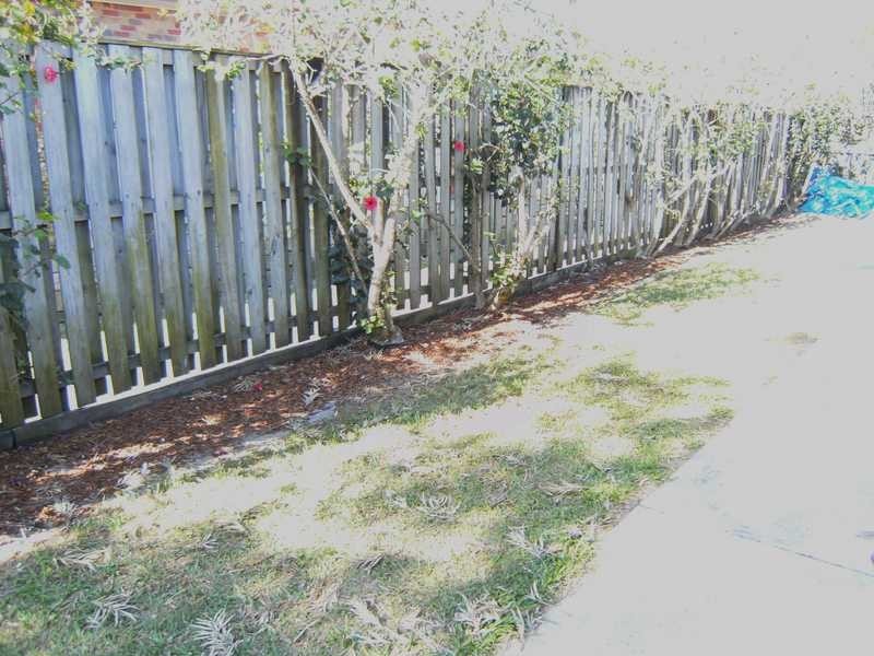 140 Mattocks Road, Burleigh Waters QLD 4220