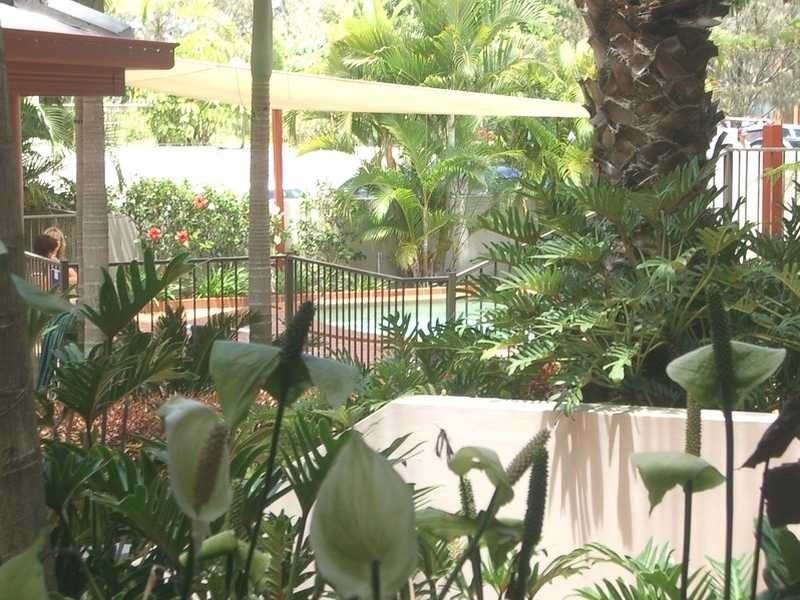 Unit 3/1937 Gold Coast Highway, Burleigh Heads QLD 4220