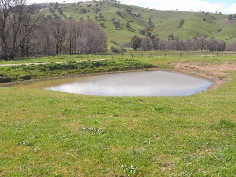 301 Burra Road, Gundagai NSW 2722