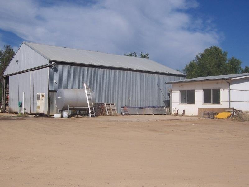 1 Jack Moses Avenue, Gundagai NSW 2722