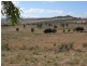 Lot/5 Hume Highway, Jugiong NSW 2726
