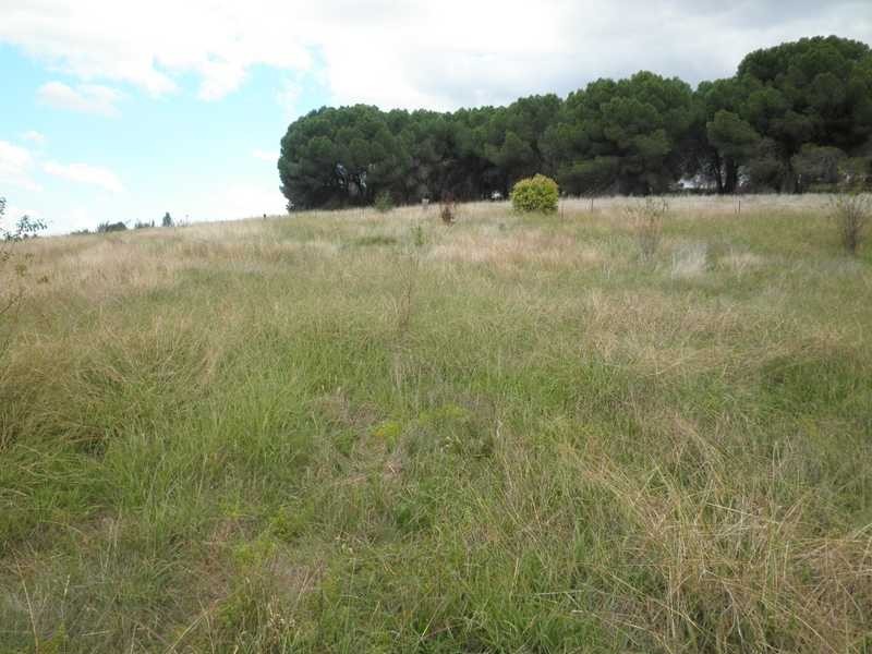 29-34 Lawson Drive, Gundagai NSW 2722