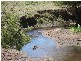 Lot 4 Tip Top Adelong Road, Tumblong NSW 2729
