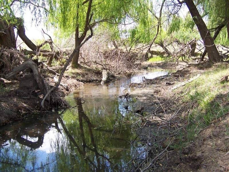 Lot 4 Tip Top Adelong Road, Tumblong NSW 2729