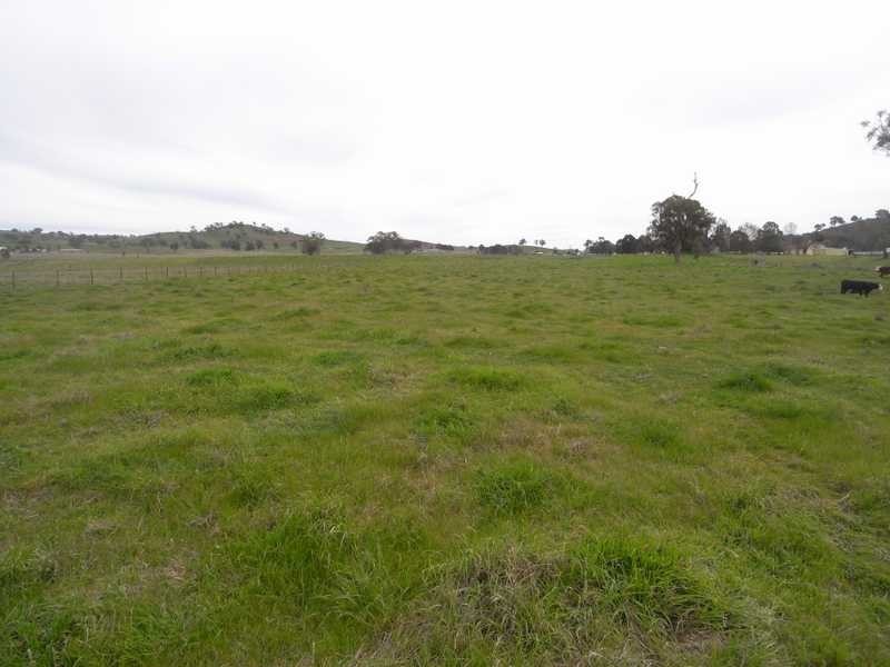 3 Tip Top Adelong Road, Tumblong NSW 2729