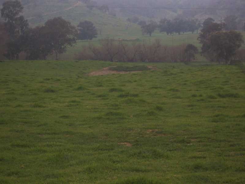 3 Tip Top Adelong Road, Tumblong NSW 2729