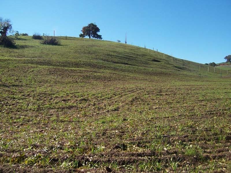 Lot/21 2 & 3 Middle Street, Gundagai NSW 2722