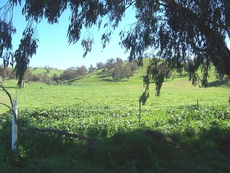 Lot/25 Back Station Creek Road, Gundagai NSW 2722