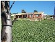 3392 Oura Road, Wantabadgery NSW 2650