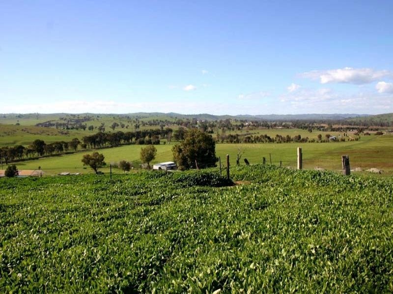 3392 Oura Road, Wantabadgery NSW 2650