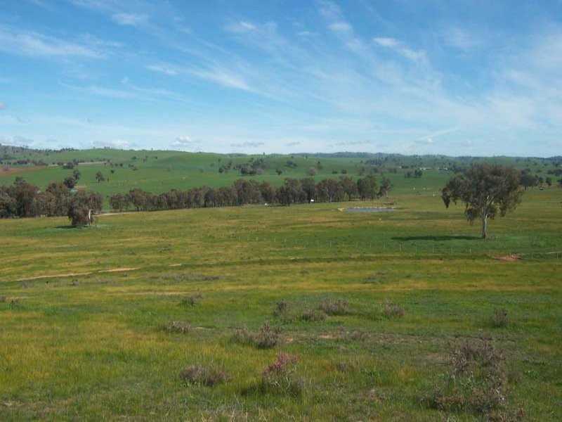 Lot/4 Old Hume Highway, Gundagai NSW 2722