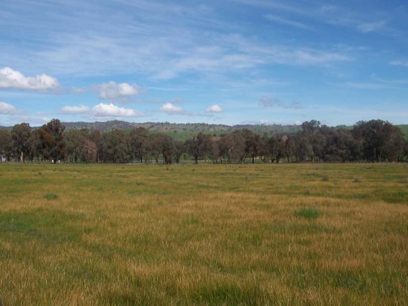 Lot/4 Old Hume Highway, Gundagai NSW 2722