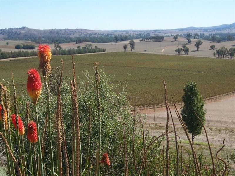 236 Wantabadgery Road, Gundagai NSW 2722