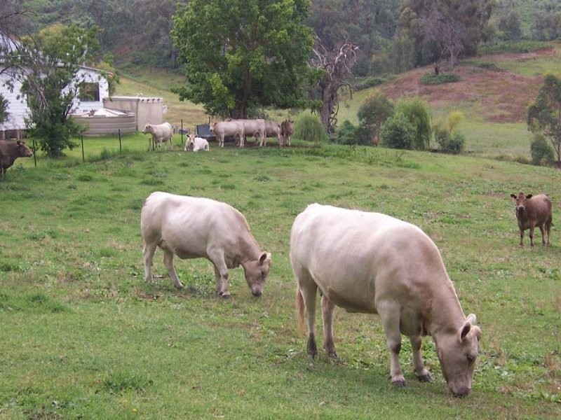 LOT 2 Tumbarumba Road, Tarcutta NSW 2652