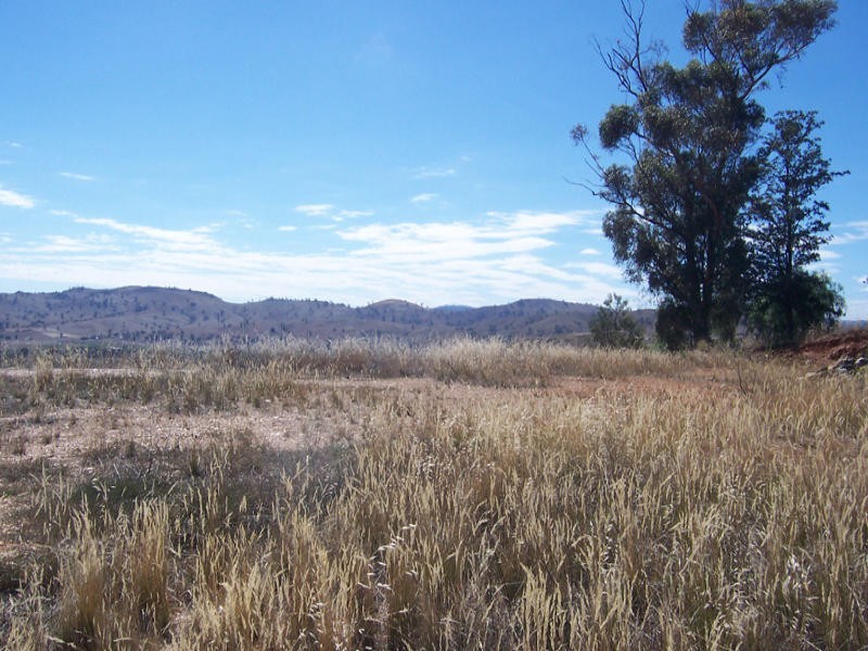 Lot/14 Luke Street, Gundagai NSW 2722