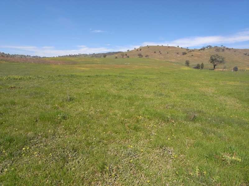 Lot/1 Happy Valley Road, Gundagai NSW 2722