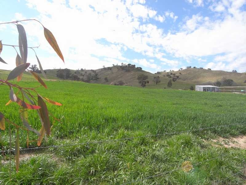 46 Tarrabandra Road, Gundagai NSW 2722