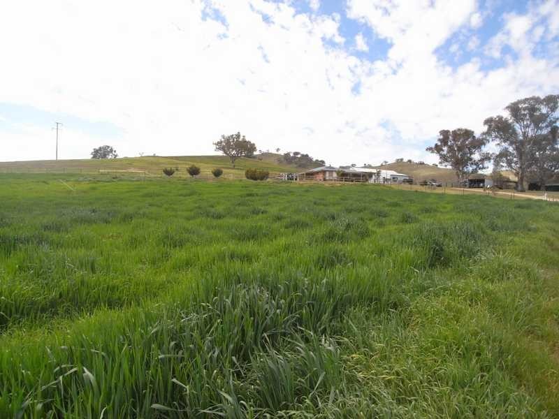 46 Tarrabandra Road, Gundagai NSW 2722