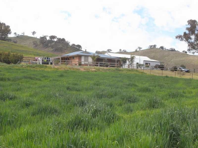 46 Tarrabandra Road, Gundagai NSW 2722