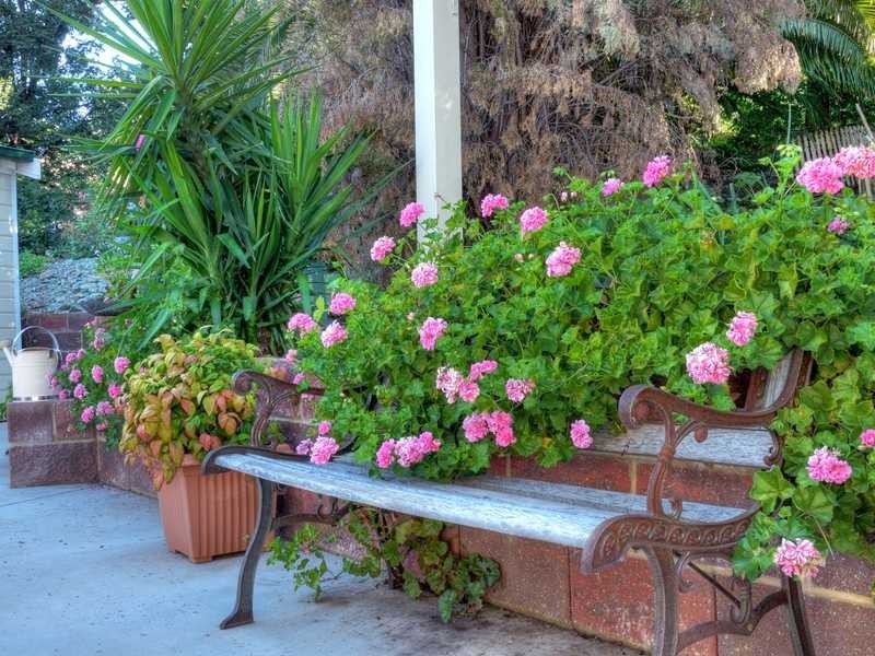 59 First Avenue, Gundagai NSW 2722