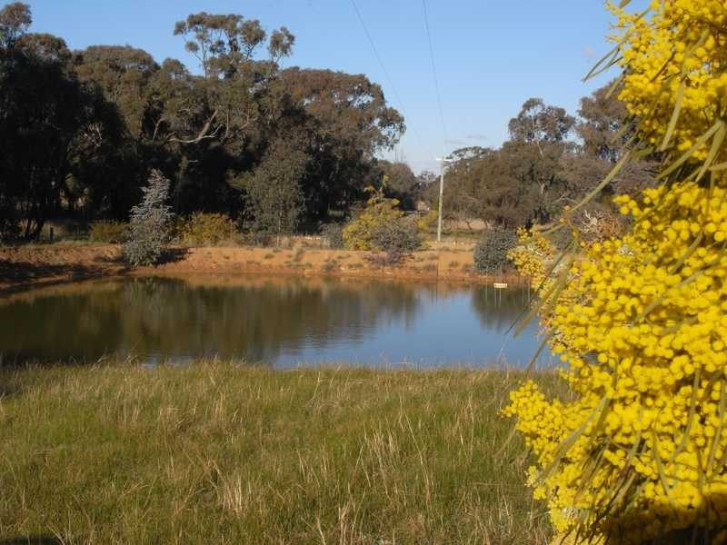 4 Reno Road, Gundagai NSW 2722