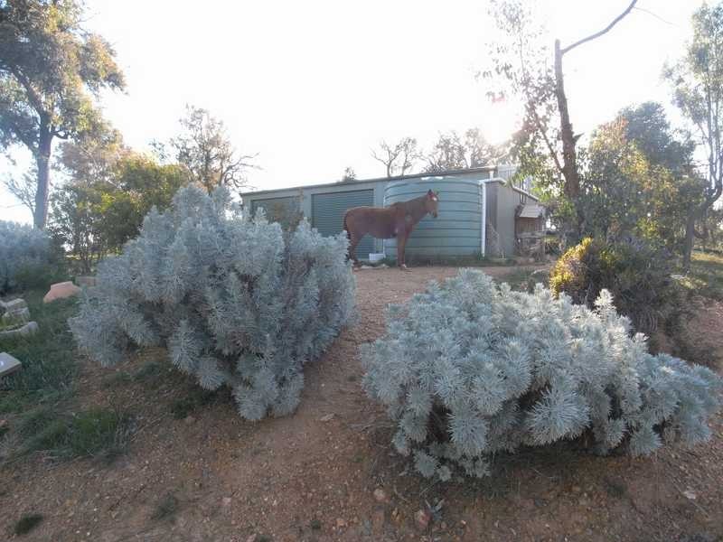 4 Reno Road, Gundagai NSW 2722