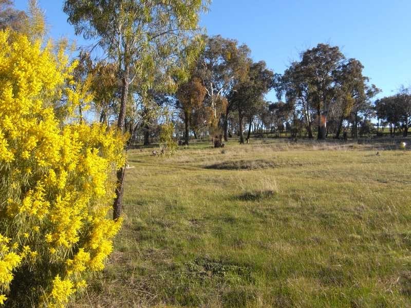 4 Reno Road, Gundagai NSW 2722