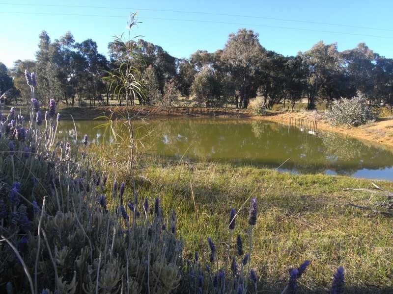 4 Reno Road, Gundagai NSW 2722