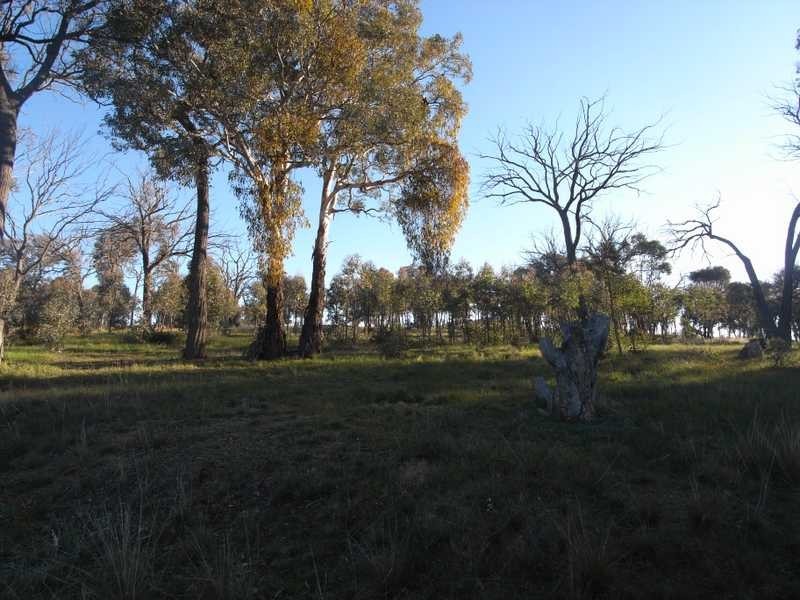 4 Reno Road, Gundagai NSW 2722