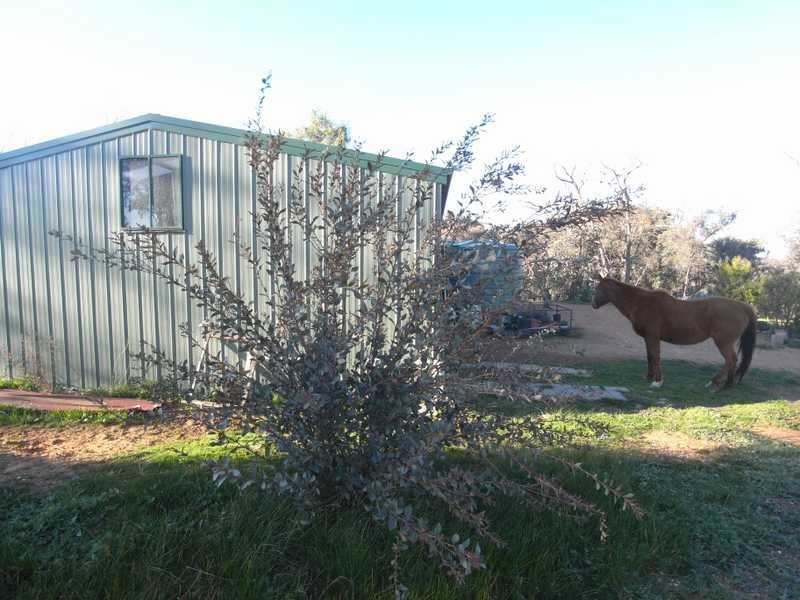 4 Reno Road, Gundagai NSW 2722