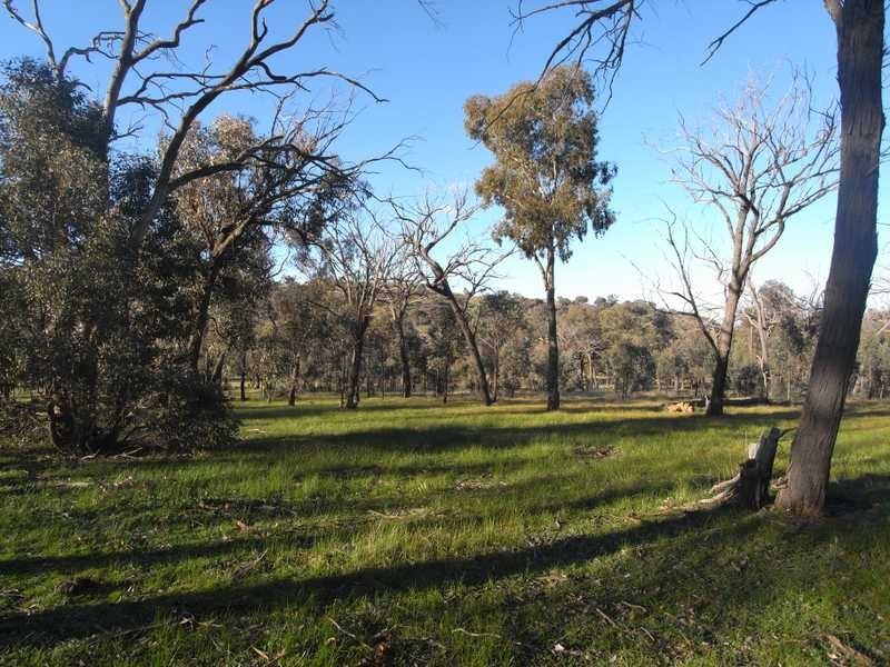 4 Reno Road, Gundagai NSW 2722