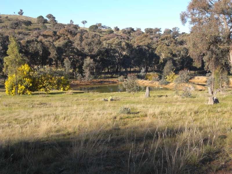 4 Reno Road, Gundagai NSW 2722