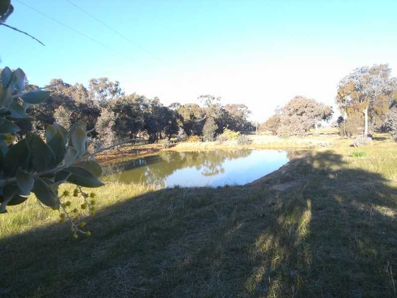 4 Reno Road, Gundagai NSW 2722