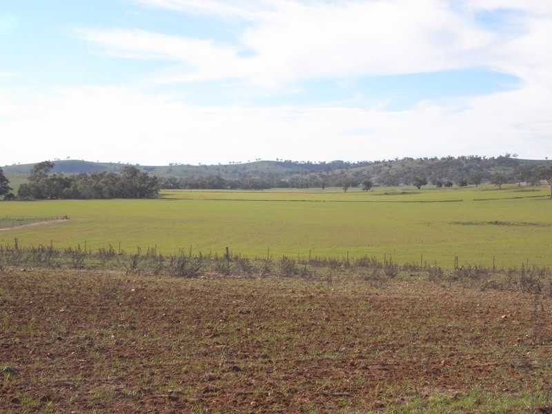 Old School Residence Bridge Street, Muttama NSW 2722