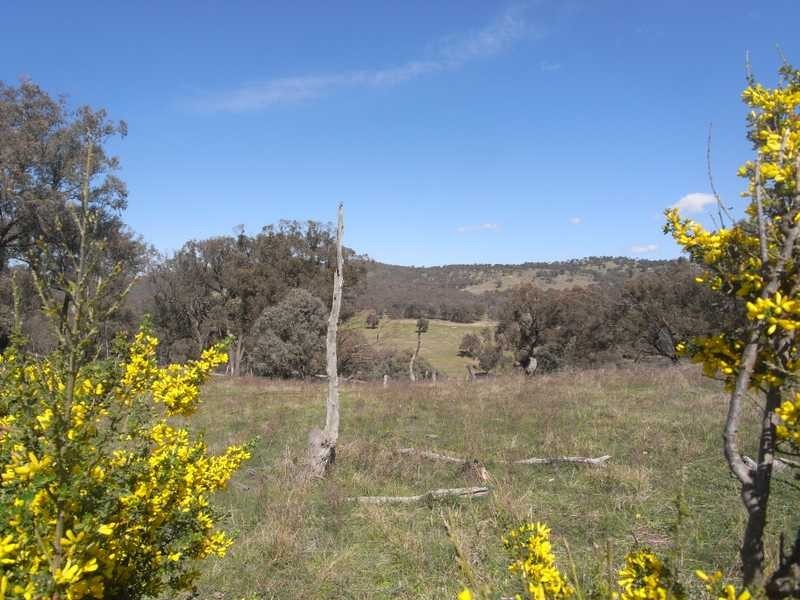 Mountain View Burra Road, Gundagai NSW 2722