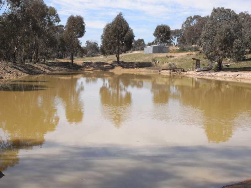 Mountain View Burra Road, Gundagai NSW 2722