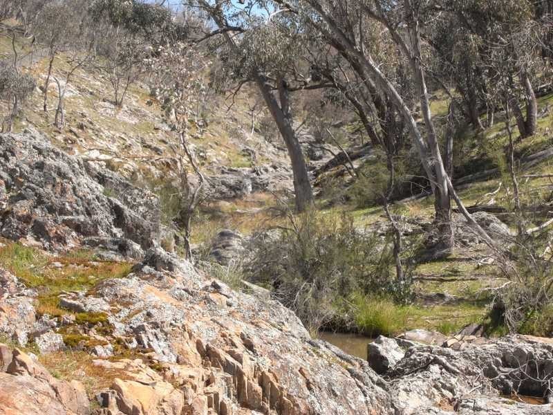 Mountain View Burra Road, Gundagai NSW 2722