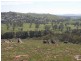 13 Fry Street, Gundagai NSW 2722