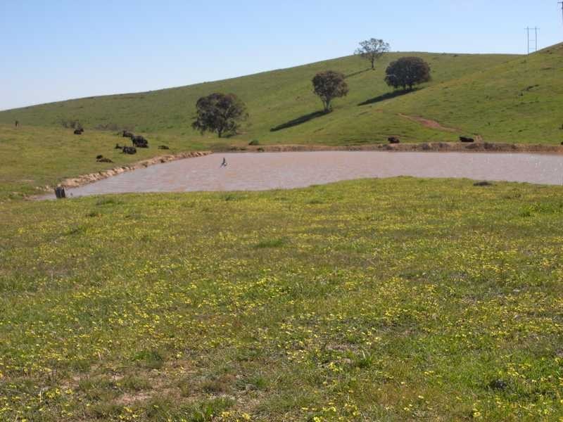 Back Station Creek Reno Road, Gundagai NSW 2722