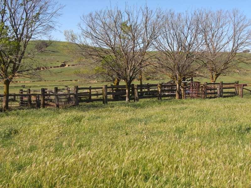 Back Station Creek Reno Road, Gundagai NSW 2722