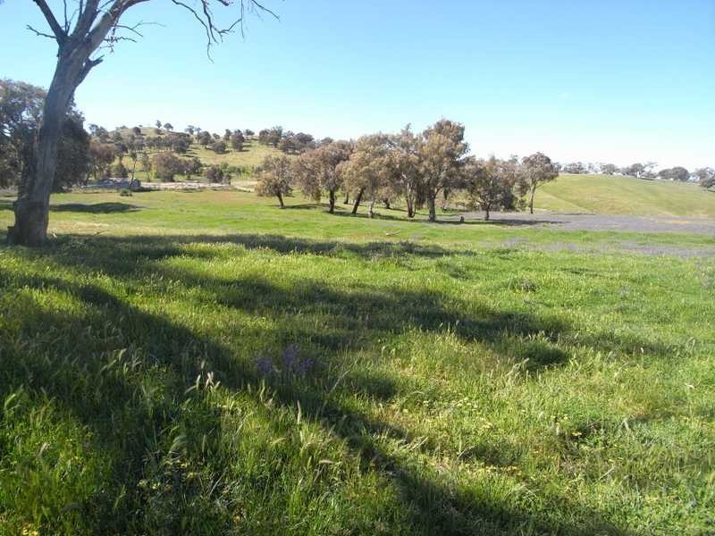 Back Station Creek Reno Road, Gundagai NSW 2722