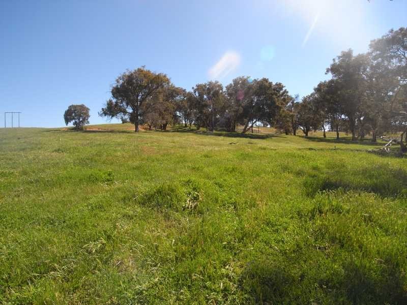 Back Station Creek Reno Road, Gundagai NSW 2722