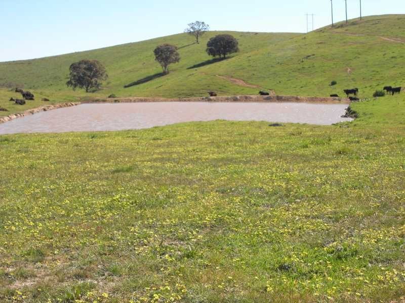 Back Station Creek Reno Road, Gundagai NSW 2722