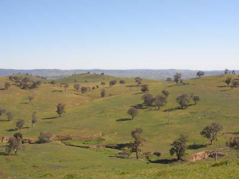Back Station Creek Reno Road, Gundagai NSW 2722
