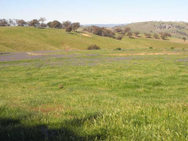 Back Station Creek Reno Road, Gundagai NSW 2722