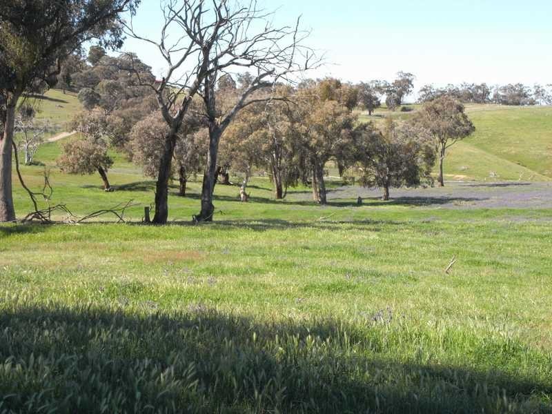 Back Station Creek Reno Road, Gundagai NSW 2722