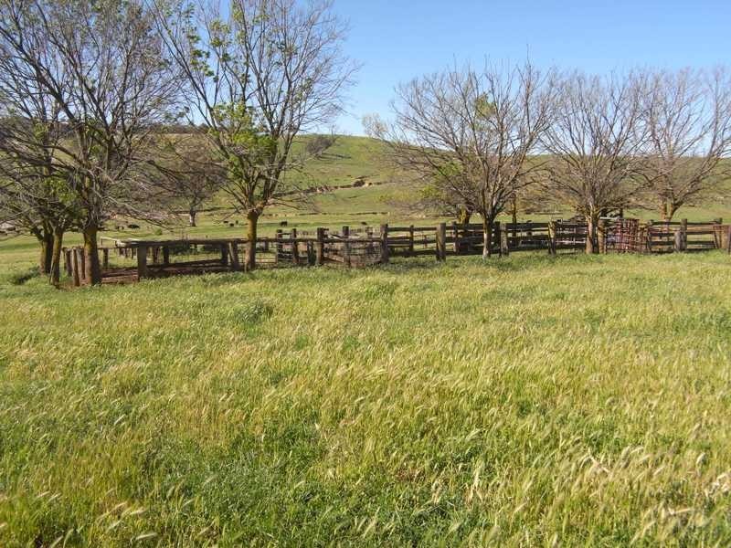 Back Station Creek Reno Road, Gundagai NSW 2722