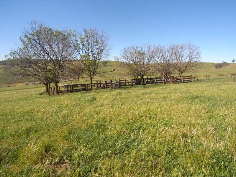 Back Station Creek Reno Road, Gundagai NSW 2722